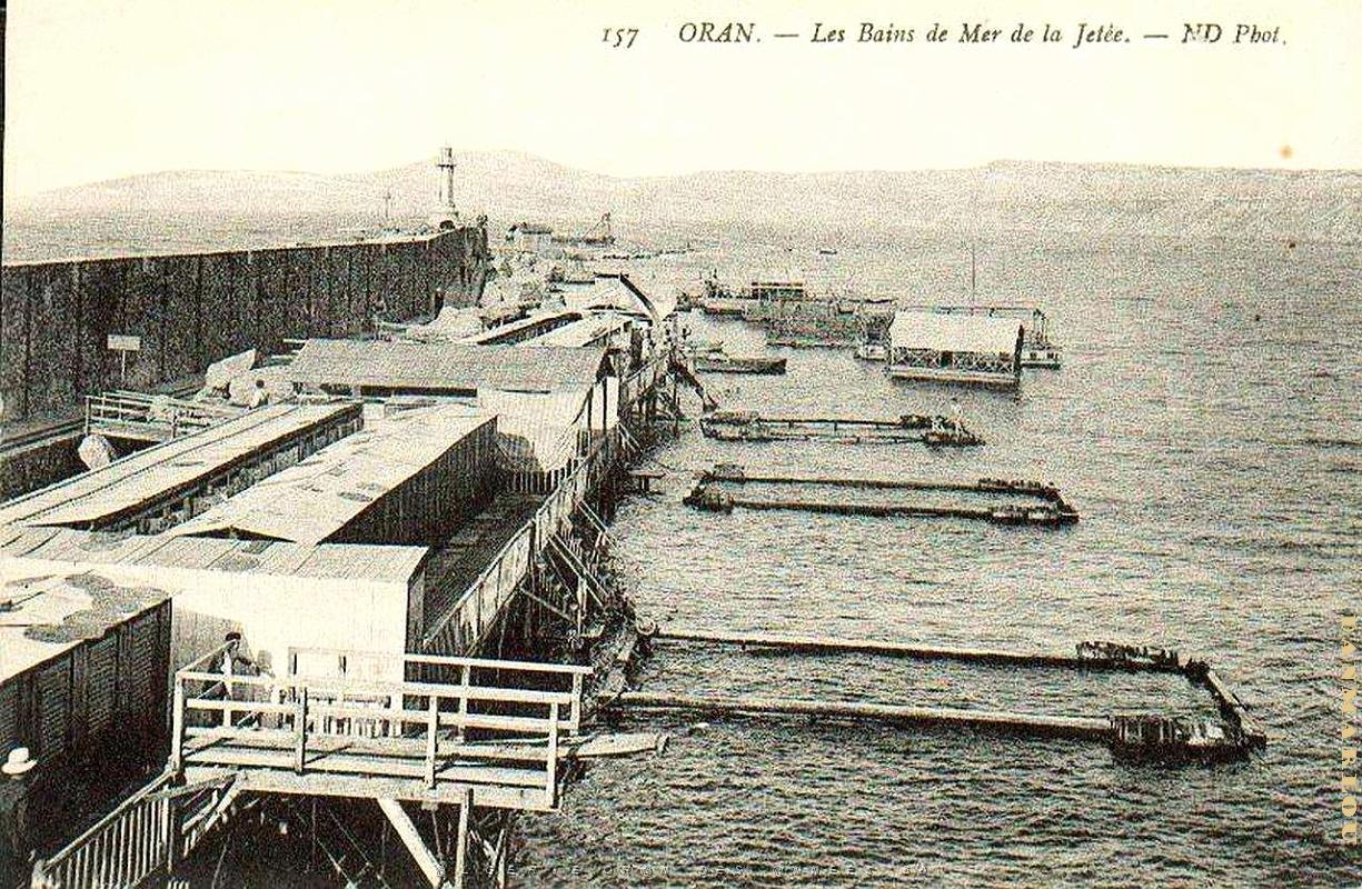PO e- 444.jpg